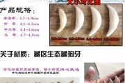 狗牙消毒处理的重要性（以狗牙消毒为主题的防病害关键措施）