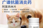 夏日热狗狗咳嗽怎么办？（寻找缓解狗狗咳嗽的有效药物）