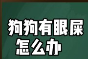 狗狗为什么会有绿色眼屎？（探索狗狗眼屎颜色的原因与解决方法）
