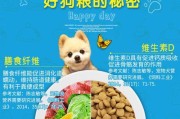 两个月博美犬狗粮合适的喂养量（根据不同狗粮的使用量进行科学喂养）