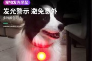 小狗狗夜间乱叫怎么办？（宠物主人的实用指南）