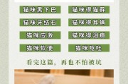 如何让猫咪吃药？铲屎官的必备技能！（不吃药的猫咪救命宝典，解救你的毛孩子）