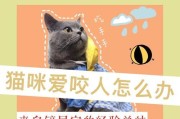 为什么猫喜欢咬手？（探索猫咪行为中的手咬现象）