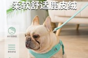如何正确地照顾你的柴犬狗狗？（从饮食到日常清洁，这些技巧让你的宠物更健康）