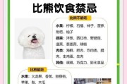 比熊皮肤病治愈时间及相关治疗方法解析（以比熊皮肤病为例，揭开治愈时间之谜）