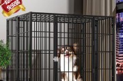 狗狗睡觉在笼子好吗？（探讨笼子睡眠的利弊及如何选择合适的笼子）