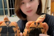 养金钱龟的正确水量管理（如何给金钱龟提供适宜的水量生活环境）