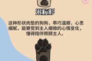 探索脚肉垫的形态与功能——解开双脚的神秘之谜（揭示脚肉垫的构造及其对步行、保护和平衡的重要性）