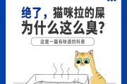 拉不出屎的原因及解决方法（为什么会出现便秘情况？如何缓解便秘问题？）