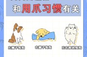 狗狗年龄自查表（以狗狗年龄自查表，了解你家宠物相当于人类多少岁啦！）