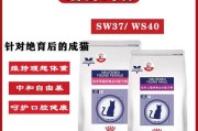 猫便秘伴发烧如何治疗？（药物治疗与饮食调理，帮助你解决猫咪的不适）