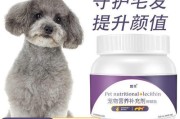 喂养贵宾犬幼犬的注意事项（宠物饲养必须知道的重要信息）