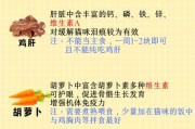 小猫的饮食禁忌（猫咪的健康生活从饮食开始）