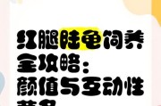 红腿陆龟的成年期到底需要多久？（探究红腿陆龟的成长周期与关键因素）