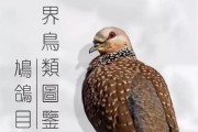 鸟类（探究鸟类的生态特征和进化历程）