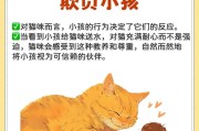 探索猫咪亲近困境的原因（了解猫咪行为背后的秘密，培养更亲近的关系）