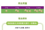 包兰格海角陆龟的饲养方法（如何科学饲养包兰格海角陆龟）