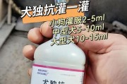 狗狗细小问题及处理方法（了解细小病毒、诊断和治疗狗狗细小的方法）
