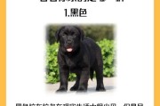 寿命较长的六种常见狗狗，你家“超龄”了吗？（探索这六种狗狗为何寿命较长，了解如何延长它们的寿命）