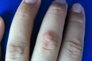 如何正确剪削卷毛巡回犬的指甲（宠物主人必看！了解指甲的构造和正确剪削方法）