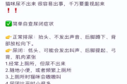 猫咪拉不出尿是什么问题？如何预防猫咪拉不出尿？