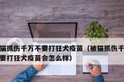 猫疫苗打法大揭秘（全面了解猫疫苗的重要性和打法）
