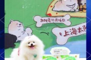 博美狗剃毛后的毛发生长周期（探索博美狗剃毛后毛发生长的时间及注意事项）