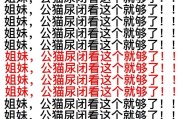 猫咪闭尿解决之道（学会如何预防和治疗猫咪闭尿问题，让你的毛球健康快乐）