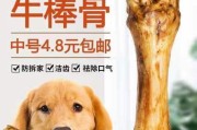 狗狗啃大骨头的益处（宠物的健康与快乐）