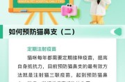 猫咪打针的重要性（保护猫咪免受疾病侵害的关键措施）