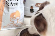 边牧的消化问题及解决方法（探究边牧易消化的食物种类和喂养技巧，让你的爱宠更健康）