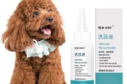 如何正确清理泰迪犬的耳朵？