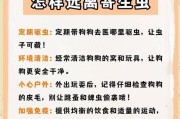 犬寄生虫（了解犬寄生虫对宠物和人类的影响）