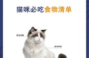 小猫的饮食需求及健康食谱（如何为刚买的小猫提供合适的饮食以保持健康）