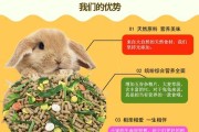 兔子一岁多应该吃什么样的兔粮？（科学饲养下，为成年兔选择合适的兔粮）
