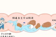 拉布拉多饭后多久排便？（了解拉布拉多饭后排便的时间和注意事项）