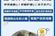 蝴蝶犬妊娠期的饮食管理（保障母犬健康宝宝营养充足）