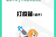狗狗前驱虫的重要性及注意事项（保护爱宠免受寄生虫侵害的关键）