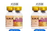 狗狗打疫苗前的注意事项（确保狗狗健康和安全的准备工作）
