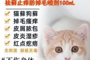 防治人犬共患皮癣的措施（以宠物为主的预防方法和医疗措施）