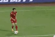 挺胸龟的饲养方法（打造健康快乐的小家伙）