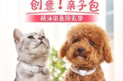 手工制作宠物猫项圈教程（DIY你的专属猫咪项圈，让TA变成最时髦的小公主/小王子）