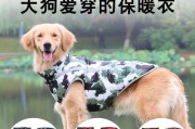 爱宠的冬日保暖，从学着做起（宠物冬季保暖方法大公开，让你的爱宠过个温暖的冬天）
