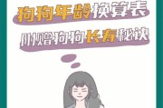 狗狗年龄与人类年龄的对照表——了解你家宠物的实际年龄（快来看看你家狗狗到底多大了！）
