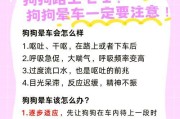 狗狗为什么容易呕吐？（探究狗狗呕吐的五个常见原因）