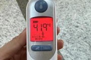 狗狗发烧的原因及应对方法（了解狗狗发烧的主要原因和如何正确处理）