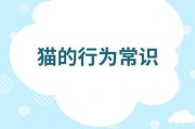 小猫摇尾巴的意义与表达（探索小猫摇尾巴的行为习惯及情感表达方式）