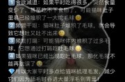 猫咪食用营养膏和化毛膏的注意事项（健康铲屎官不可大意！了解猫咪食用营养膏和化毛膏的重要性）