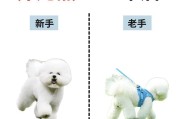上班族养狗攻略（解决上班族养狗难题的有效方法）