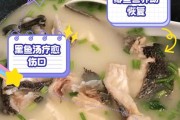 提高鱼类生长速度的饲养方法（探索适合鱼类快速生长的饲料配方与喂养技巧）
